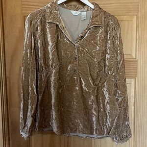 J Jill Women's Tan Crushed Velvet Blouse XL